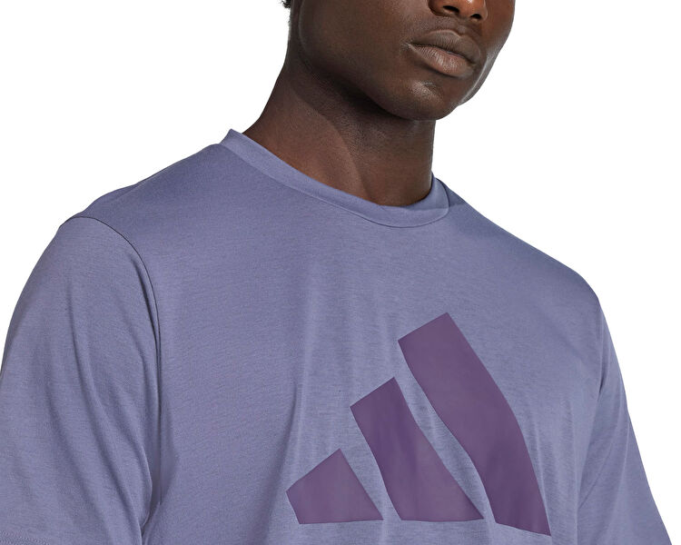 TR-ES FR LOGO T