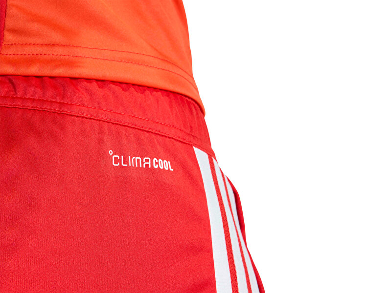 Tiro 26 Competition Sho