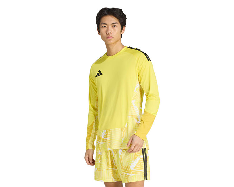 T26 C GK JSY LM