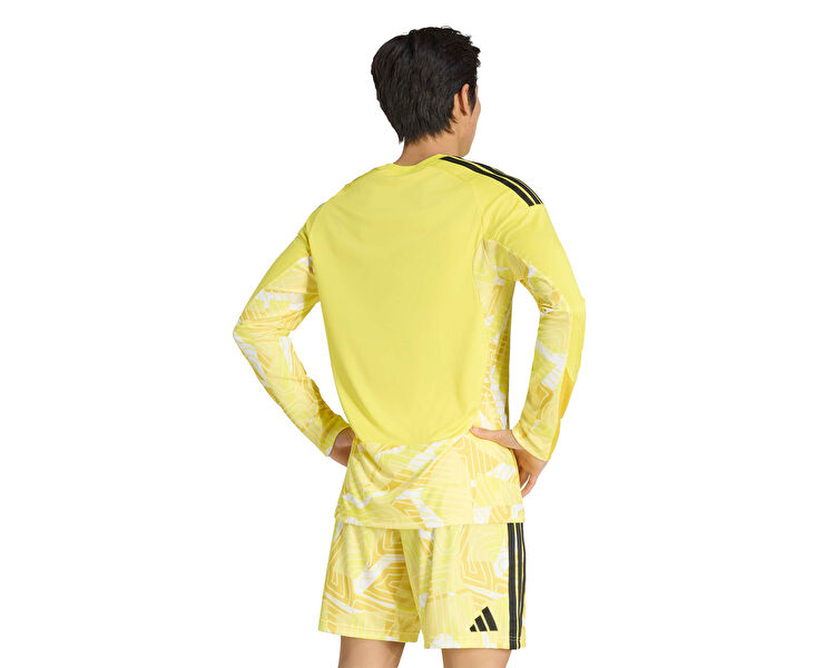 T26 C GK JSY LM