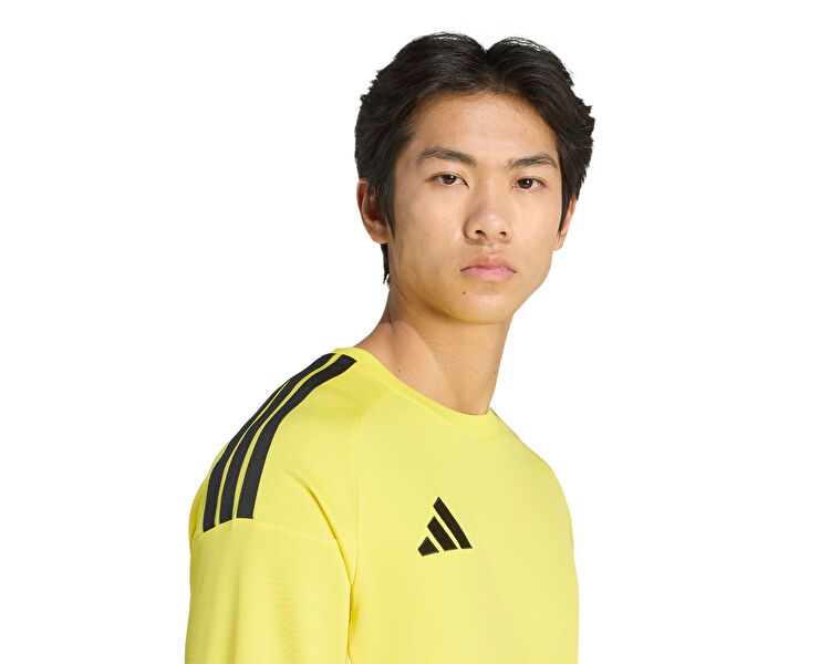 T26 C GK JSY LM
