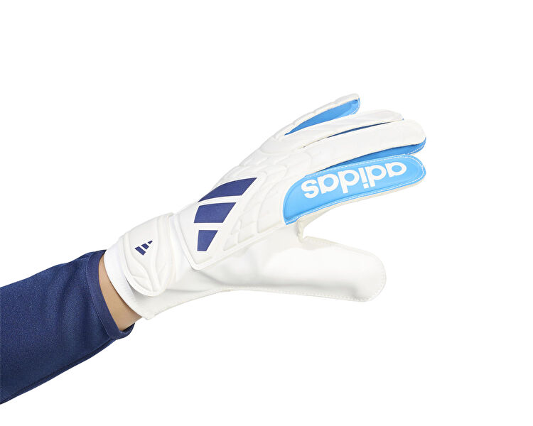 COPA GL CLB