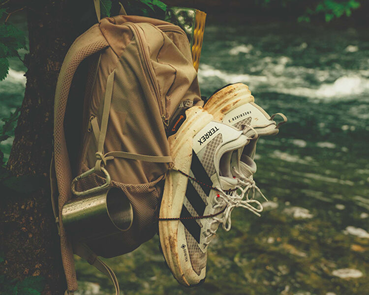 TERREX FREEHIKER 3 LOW GTX