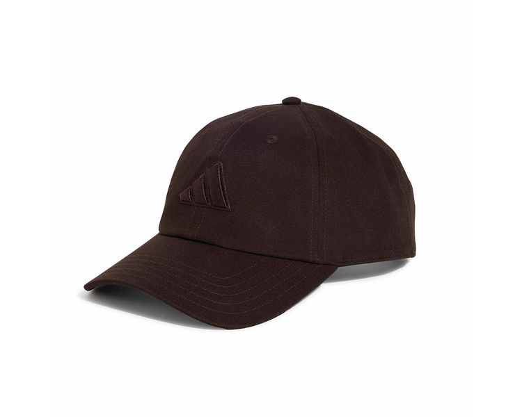 DAD CAP BIG LOG