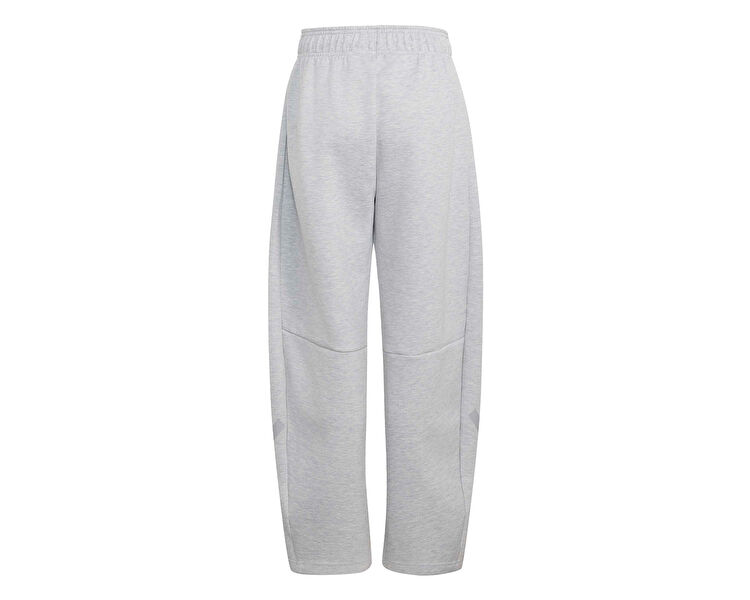 J Z.N.E. PANT