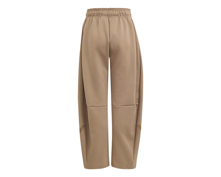 J Z.N.E. PANT