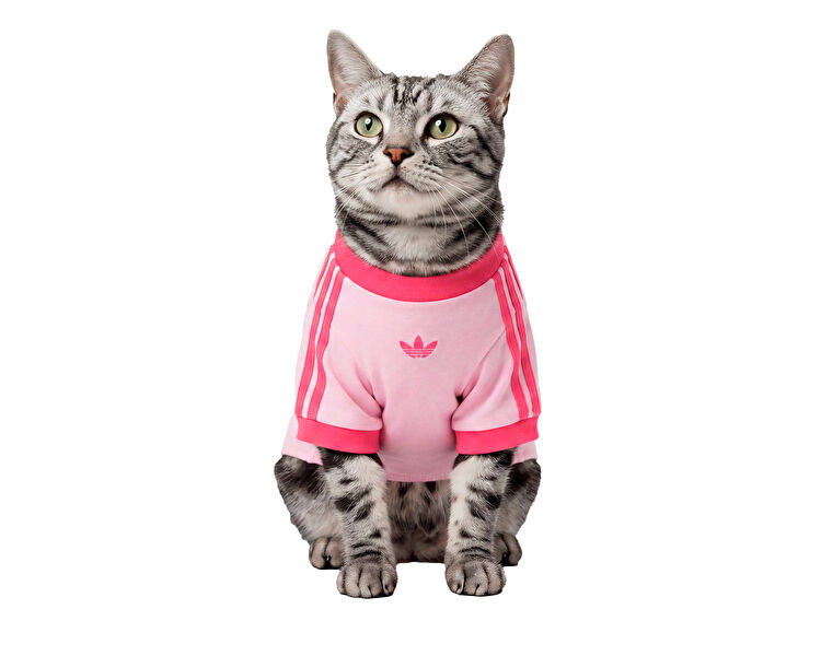 PET CALI TEE