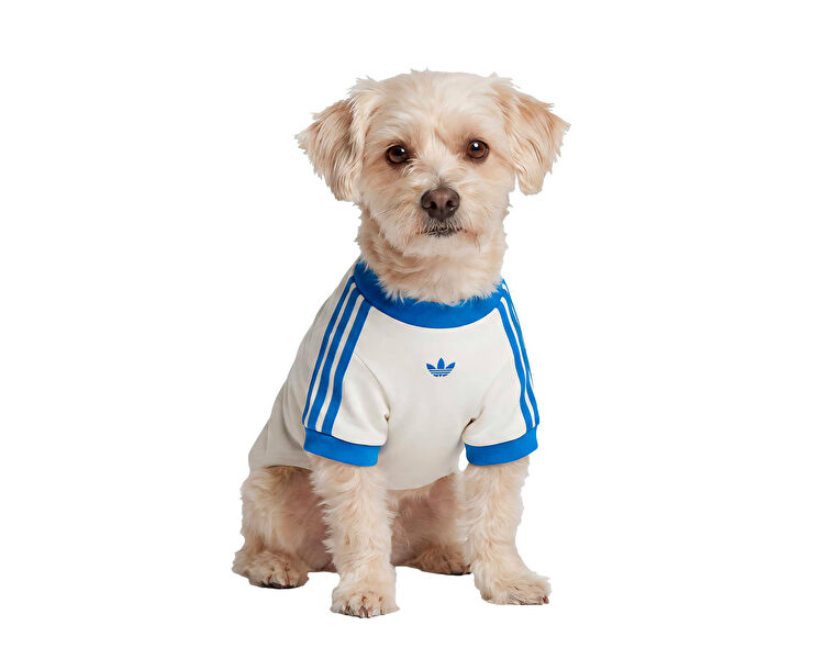 PET CALI TEE
