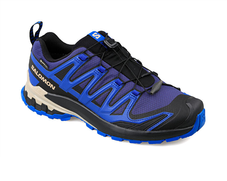 Salomon Erkek Xa Pro 3D V9 Gtx Mavi L47270300