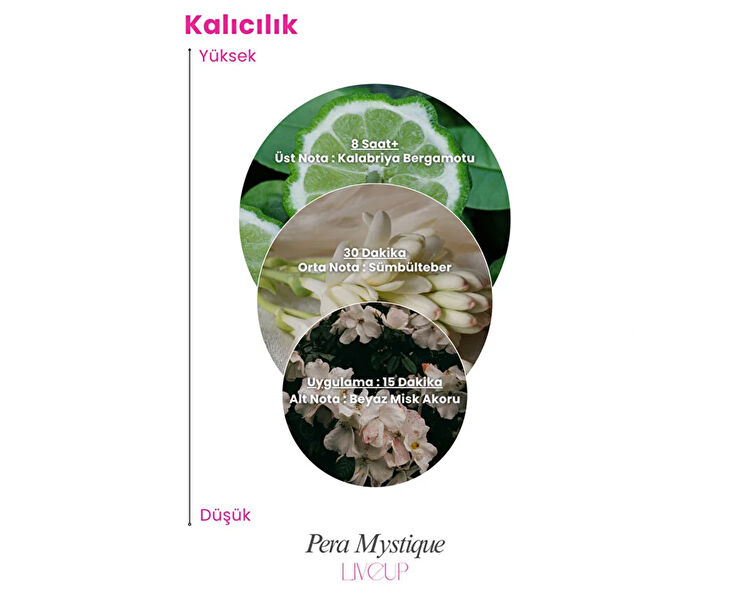 LIVEUP PERA MYSTIQUE EDP KADIN PARFUMU 100 ML