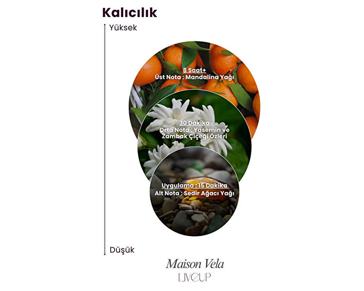 LIVEUP MAISON VELA EDP KADIN PARFUMU 100 ML