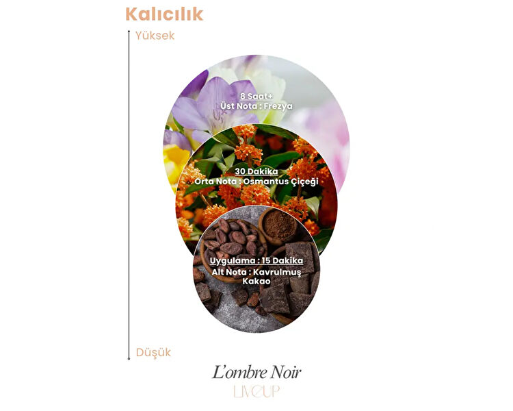LIVEUP LOMBRE NOIR EDP KADIN PARFUMU 100 ML