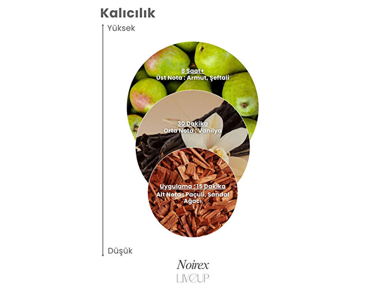 LIVEUP NOIREX EDP ERKEK PARFUMU 100 ML
