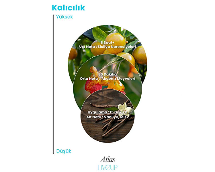 LIVEUP ATLAS EDP ERKEK PARFUMU 100 ML