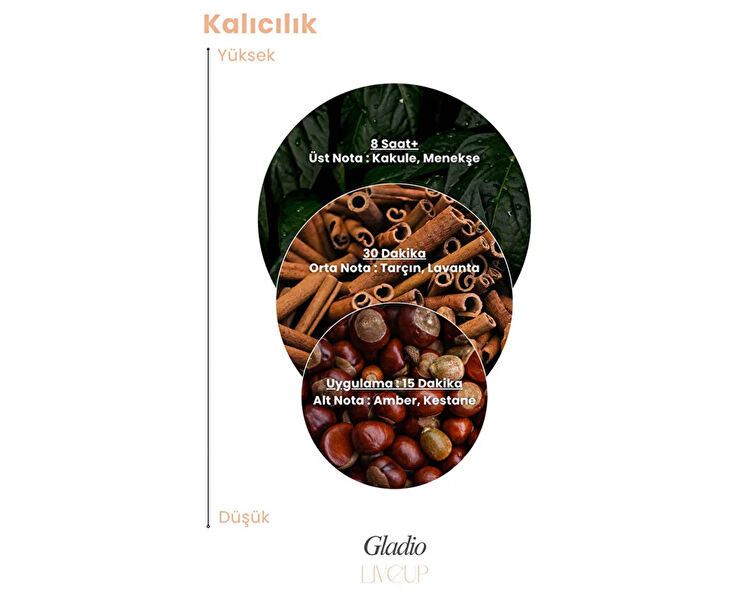 LIVEUP GLADIO EDP ERKEK PARFUMU 100 ML