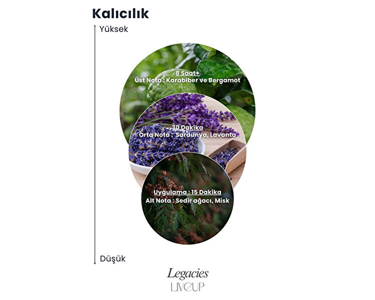 LIVEUP LEGACIES EDP ERKEK PARFUMU 100 ML