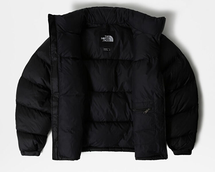 The North Face Erkek M 1996 Rtro Npse Jkt Siyah NF0A3C8DLE41