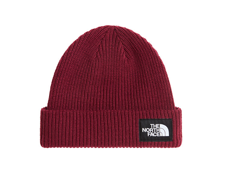 SALTY LINED BEANIE