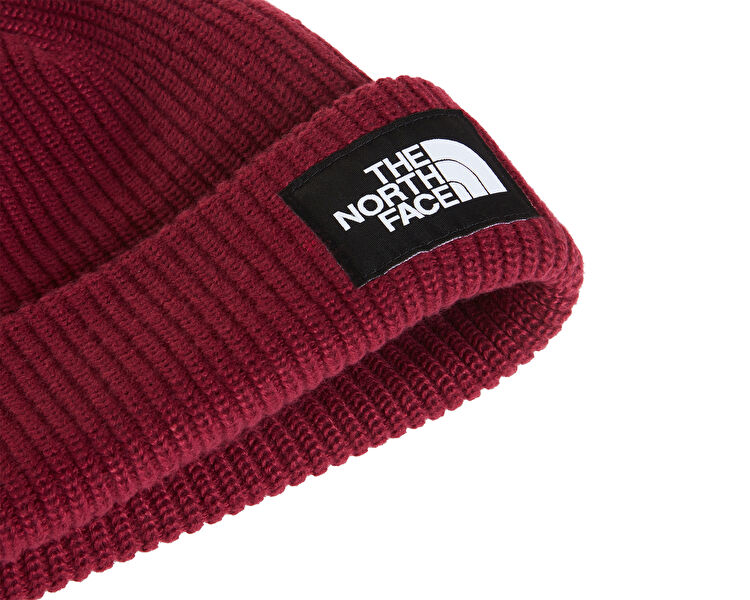 SALTY LINED BEANIE