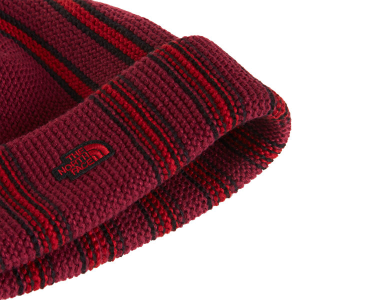 EXPLORE BEANIE
